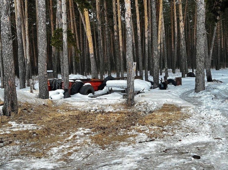 В Омской области бизнесмен устроил незаконную свалку в лесу