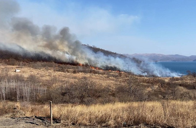 Лесной пожар пресс-служба правительства Приморья
