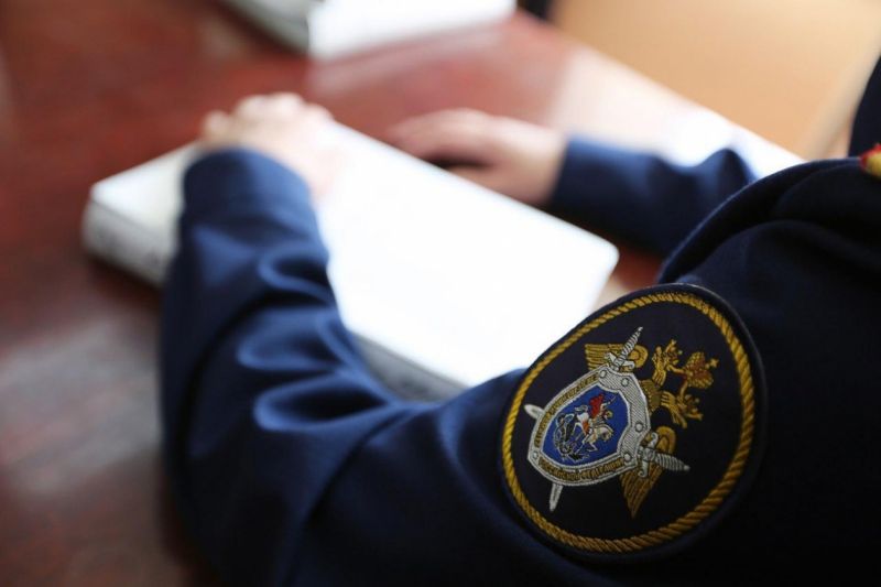 В Воронеже приступили к расследованию уголовного дела о нападении стаи собак на девушку в Тепличном