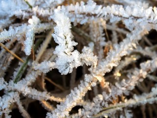 Стало известно, когда ждать первые заморозки