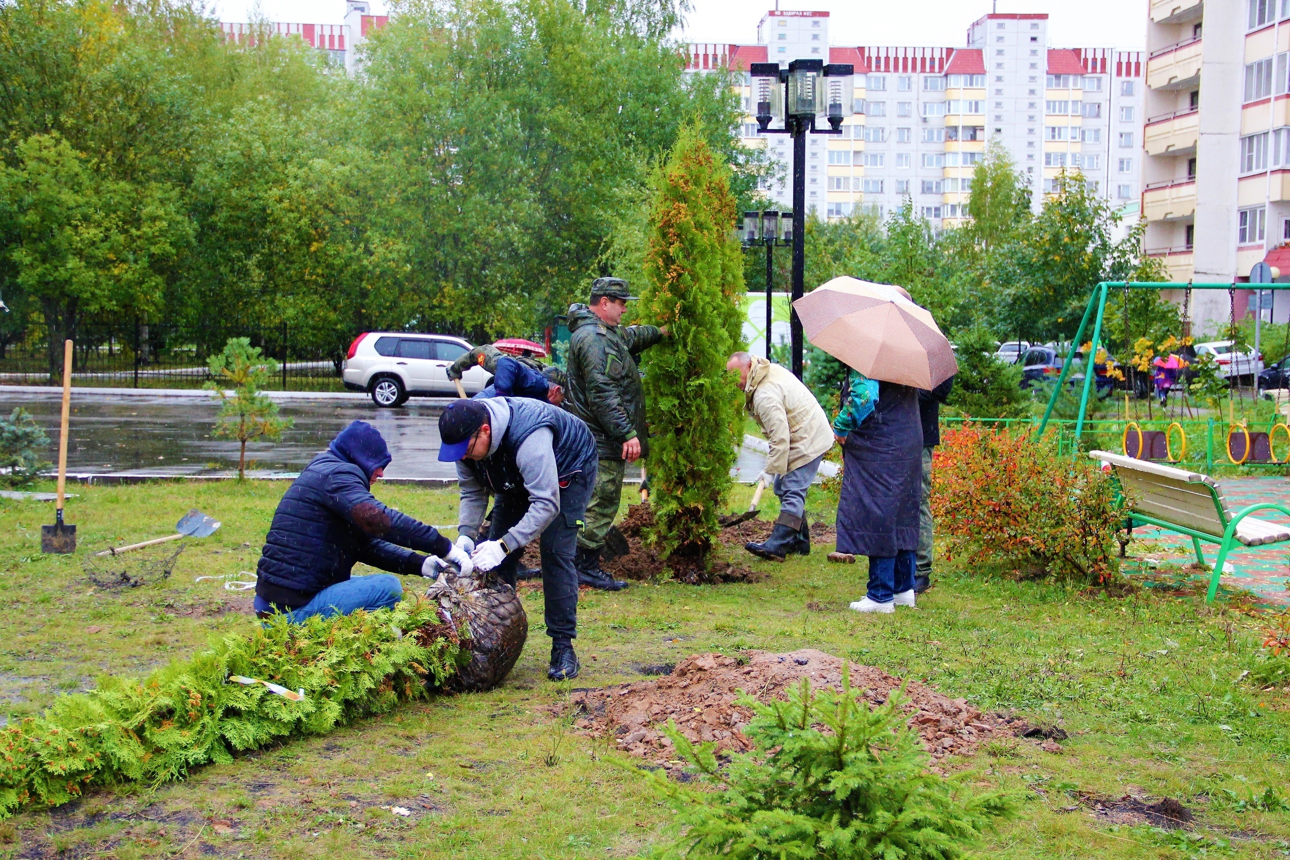 Краснознаменск московская область сайт новости. Посади дерево. Посади свое дерево жизни. Краснознаменск лес. Шеф сажает дерево.