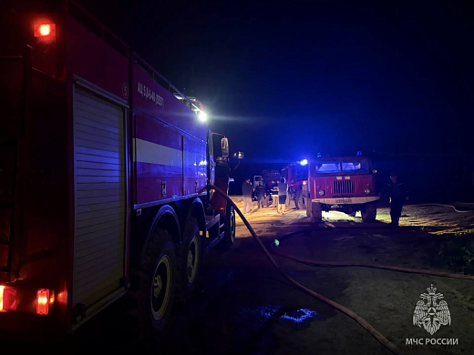  В Ивановской области пожар на ферме погубил 30 коров 