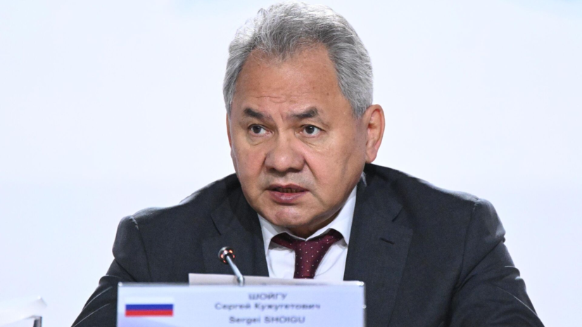 Шойгу назвал спецслужбы Украины главным источником террористических угроз в ПФО