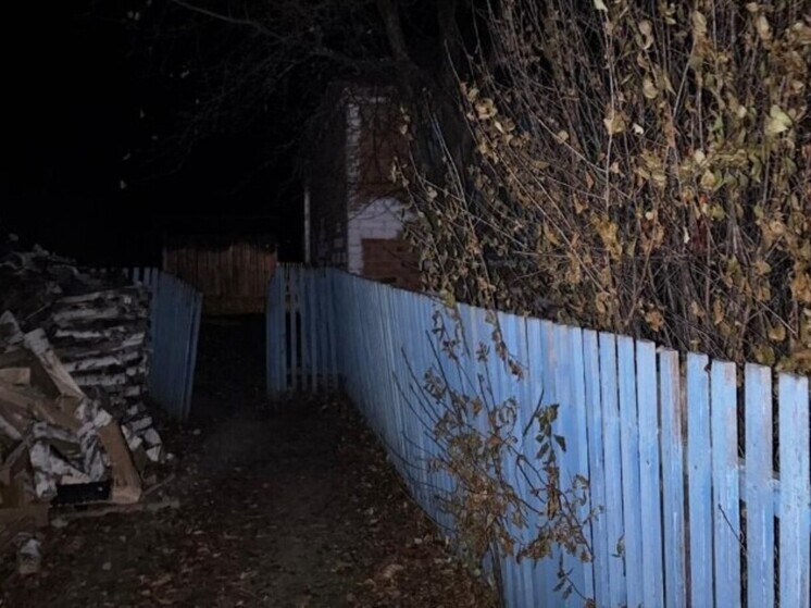 В Омске двое мужчин ворвались в дом пенсионера и похитили 600 тысяч рублей