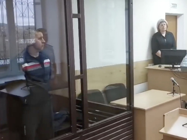 Житель Красноярского края осужден на 9,5 лет за убийство матери