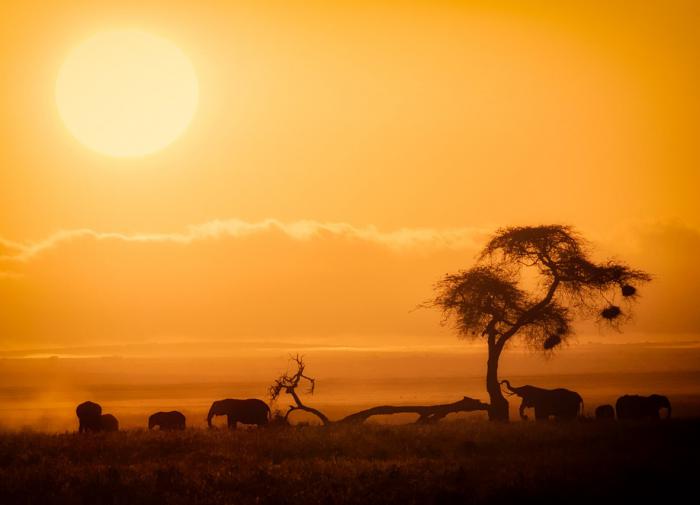 Италия готова вложить более млрд в энергетический переход стран Африки