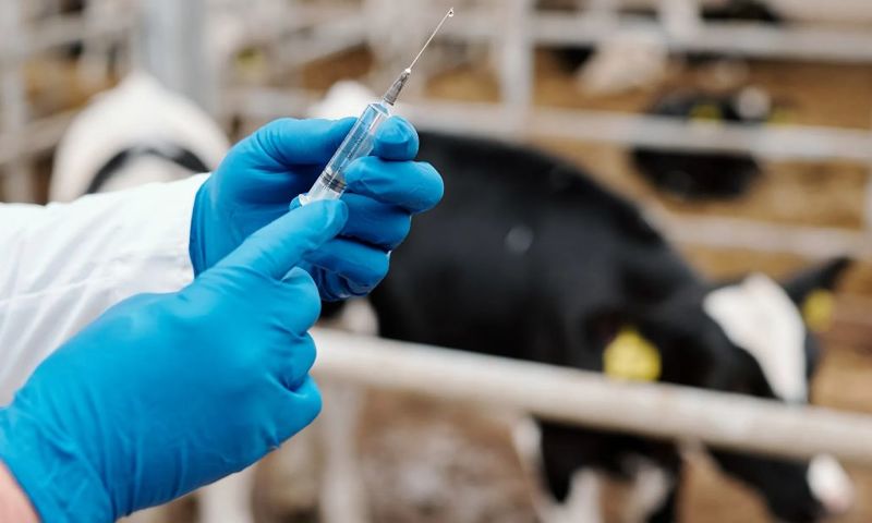 В Ярославской области от опасных болезней вакцинировали сотни миллионов птиц и животных