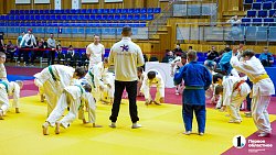 В Челябинске провели Фестиваль борьбы по трем единоборствам