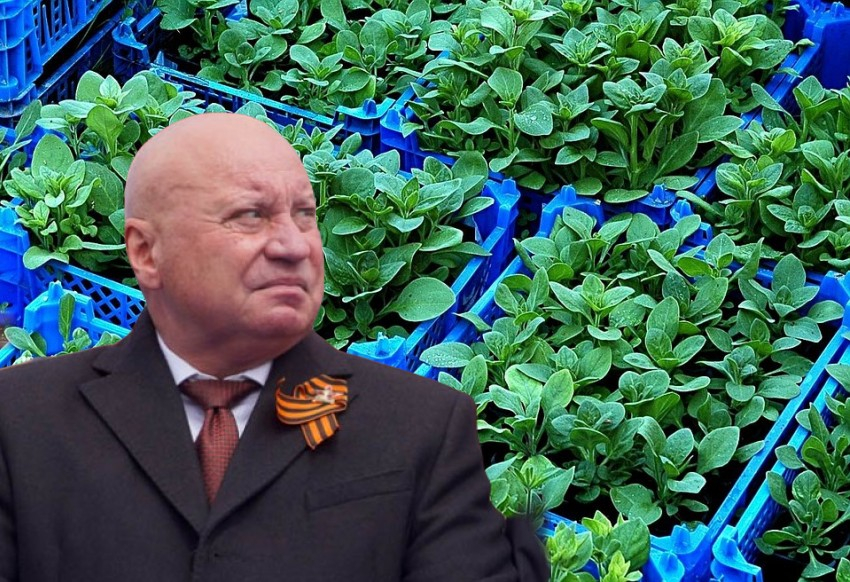 Приказ бывшего мэра Лихачева четвертый год не могут исполнить в Волгограде