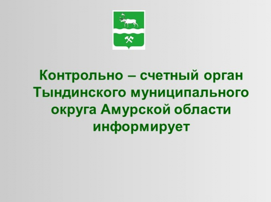 Информация о проведении экспертно-аналитических мероприятий Контрольно-счетным органом Тындинского муниципального округа Амурской области в I квартале 2026 года