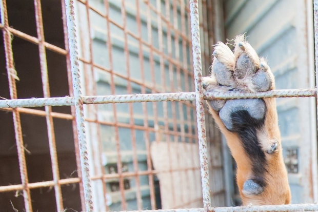 Волгоградская правда