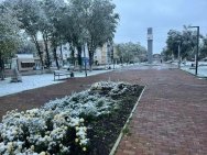 В Башкирии выпал первый снег