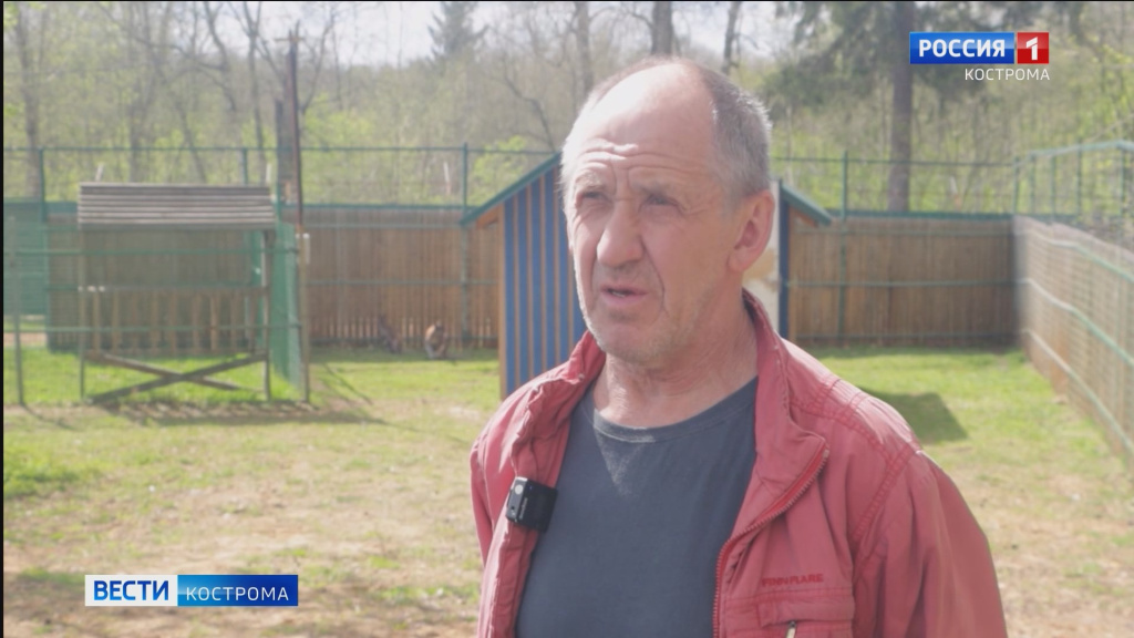 кенгурёнок.mp4_snapshot_00.45.961.jpg