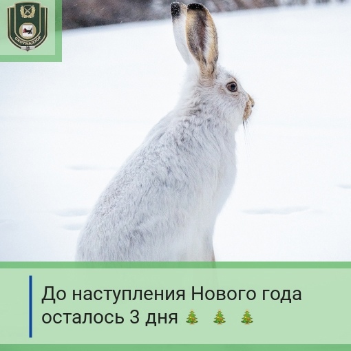 с последним днем уходящее нода. 31 декабря 2022 последний день уходящего года с наступающим новым годом. 31 декабря с наступающим новым годом. поздравления в уходящем году. поздравление с последним днем уходящего года.