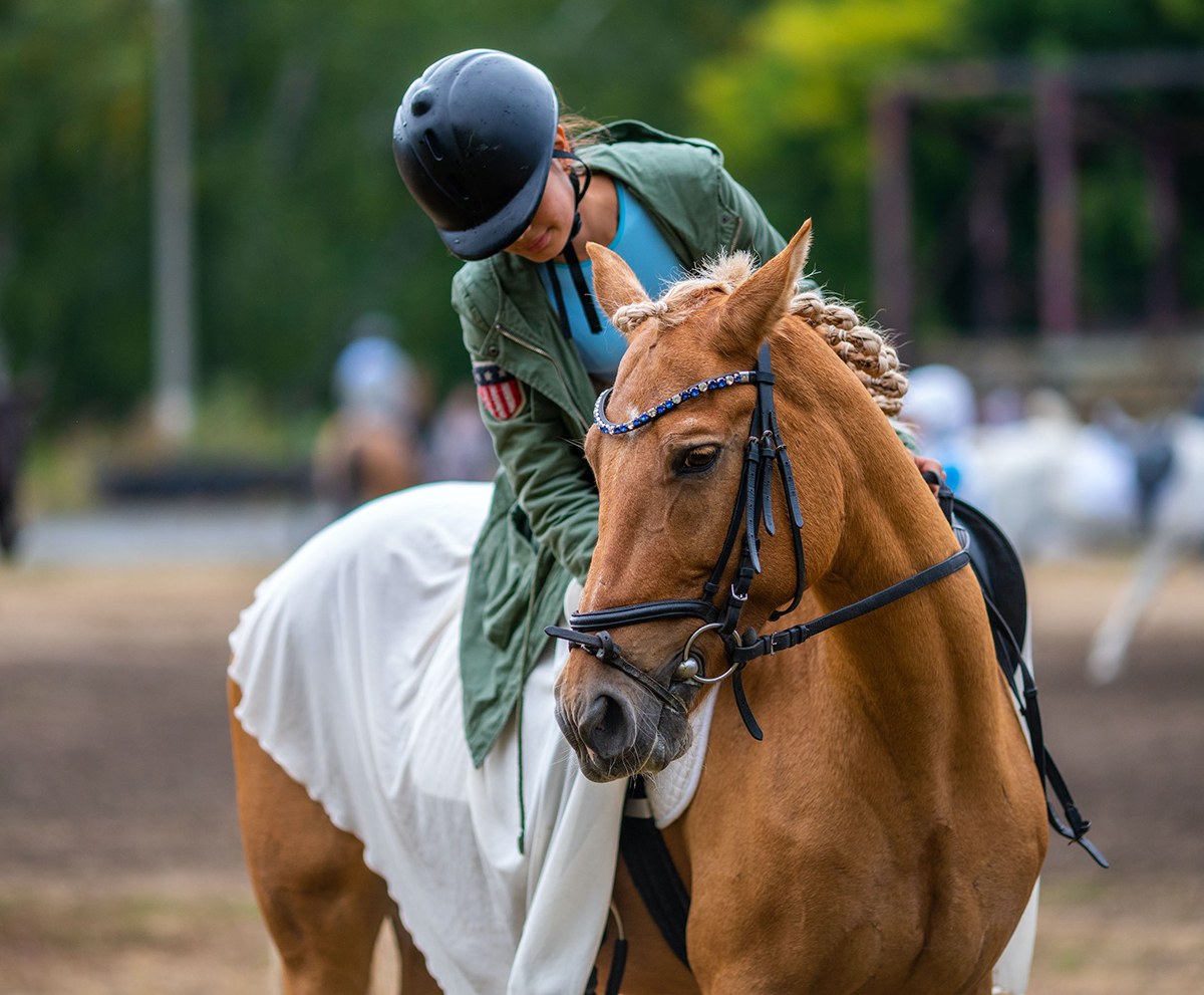 Equestrian Sports