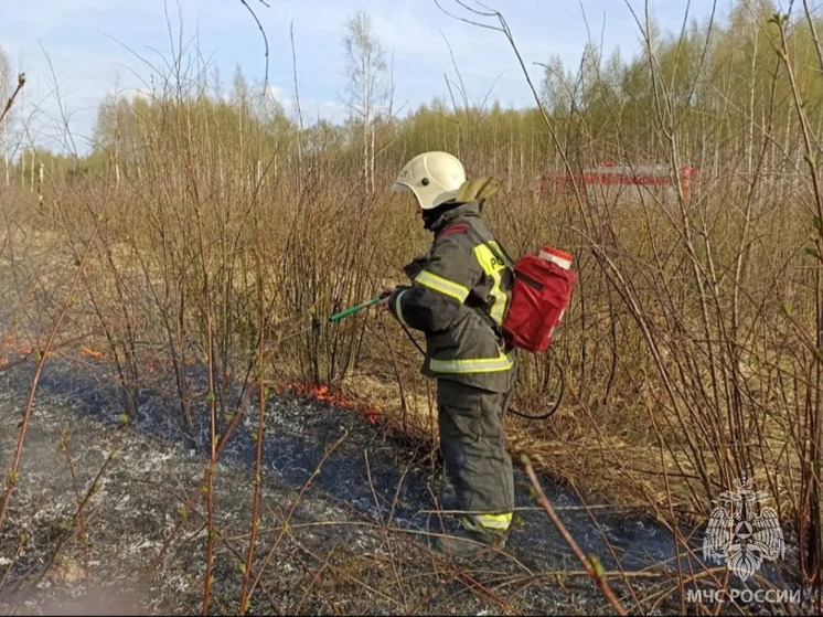 За сутки ивановские пожарные трижды выезжали на тушение травы