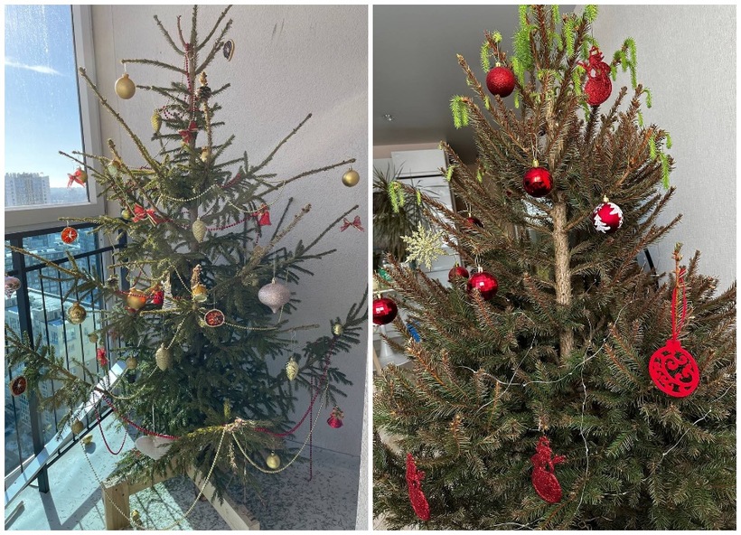 можно ли убирать елку до 14 января.