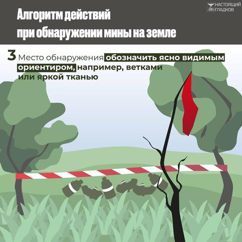 В Белгородской области вводят ежедневные уроки безопасности для детей - Изображение 4