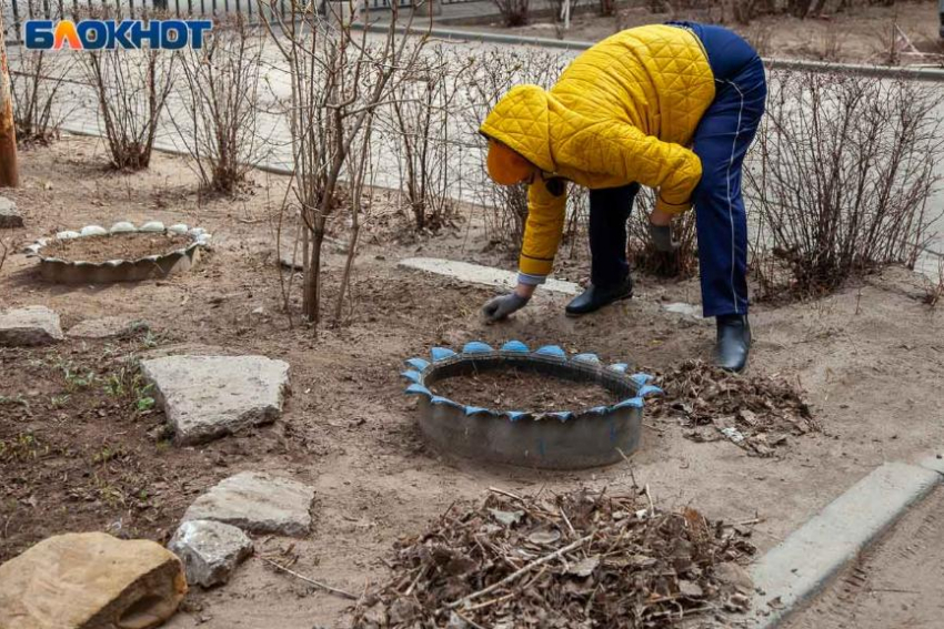 Первые заморозки на даче: советы для волжан, как обезопасить огород