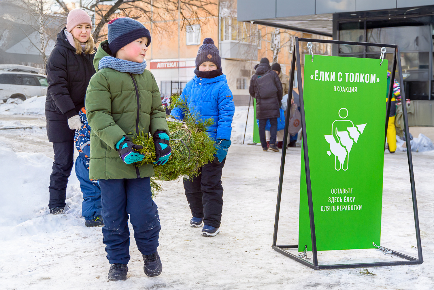 Куда сдать елку после нового. Куда сдать елку после нового года. Куда сдать елку после нового. Проект елочный круговорот. Акция елочный круговорот.