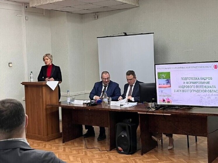 Центр деловой активности появится в Волгоградской области