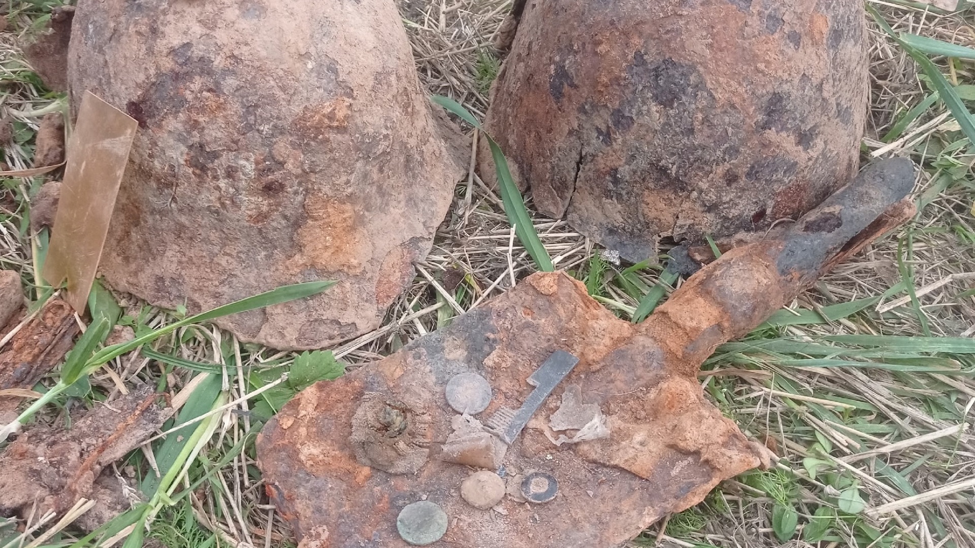 В Псковской области поисковики захоронили останки погибших в ВОВ 315 человек
