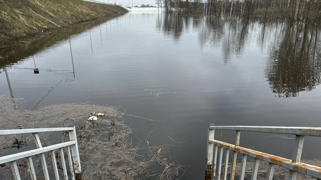 В Брянской области ввели режим повышенной готовности из-за подъема уровня воды в реках