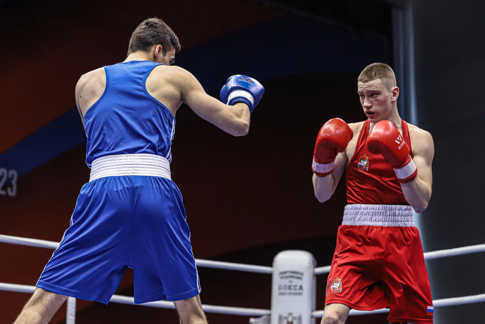 Волк боксер Чемпионат по боксу игрушка