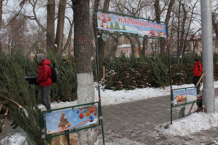 Елочный базар в Самаре