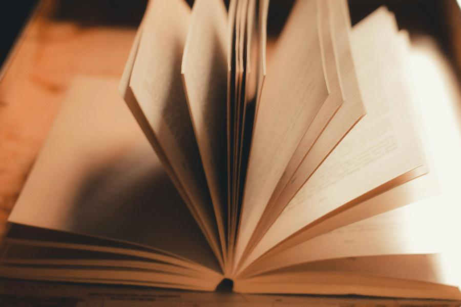 В свет вышло второе, дополненное, издание книги Сергея Курехина «Немой свидетель» | ФОТО Pramod Tiwari on Unsplash