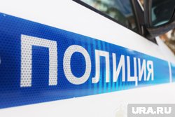 Полицейские проводят проверку