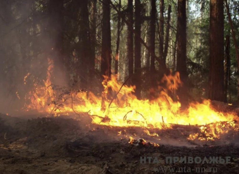 Пожароопасный сезон начнется в Чувашии с 10 апреля