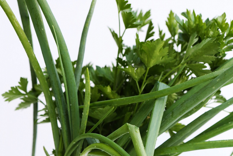 В школах ХМАО открыли 10 профильных классов сельского хозяйства