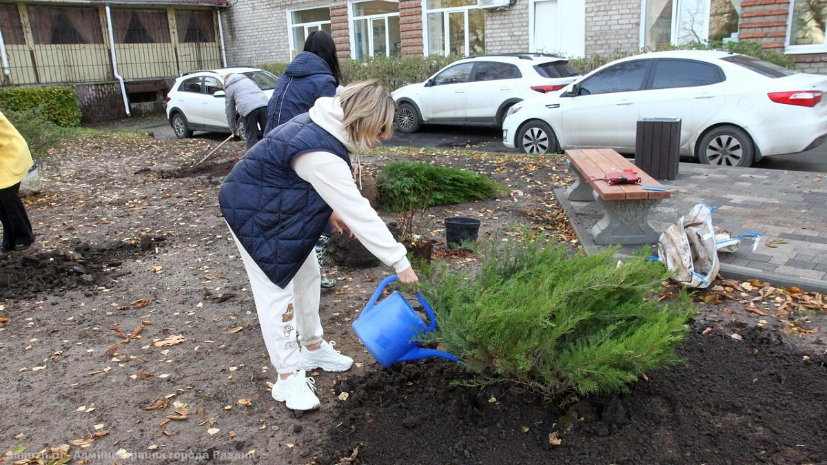 Педагогический сквер рязань