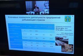 Дмитрий Демешин назвал лес и туризм главными драйверами перезапуска Комсомольского района