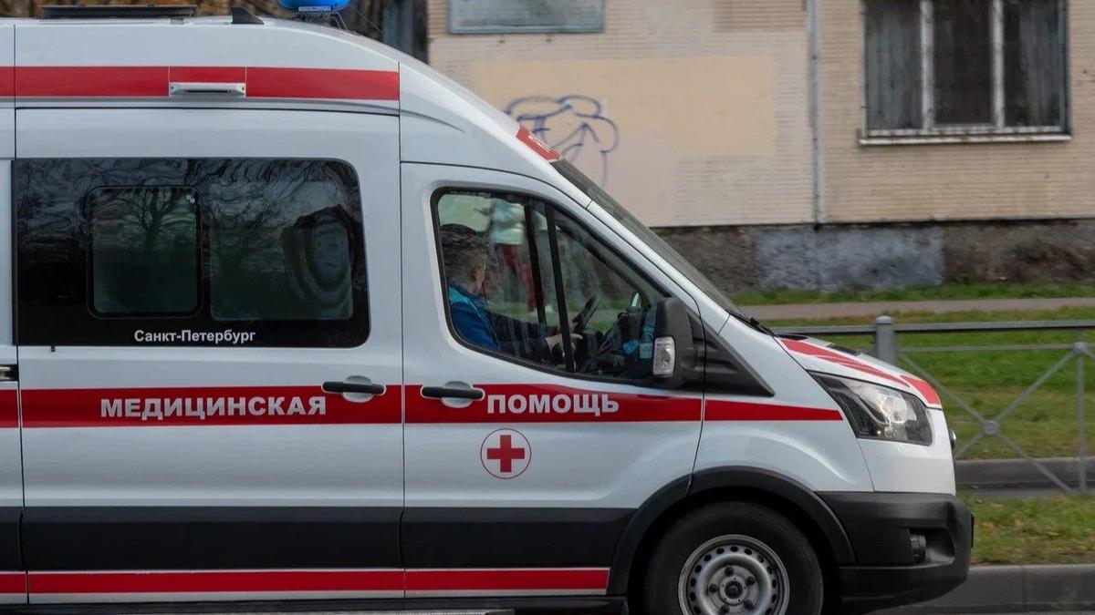 Фото: Олег Золото / МР7