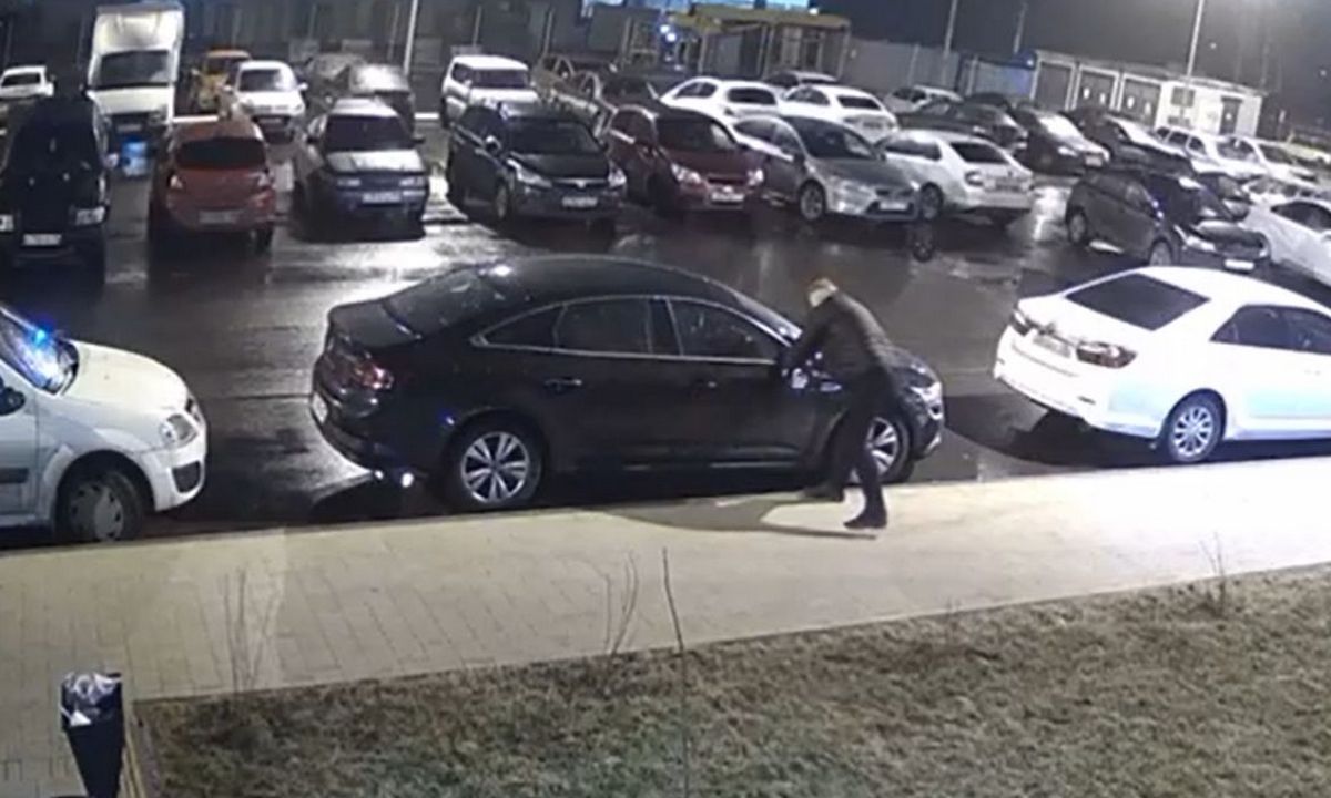 разбили стекла в x5. разбита стекла машины. дворе в волгограде. 30 декабря разбил машины во дворе. упавшая ветка дерева.