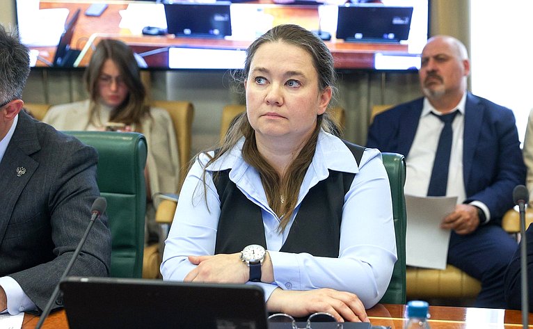 Заседание Комитета Совета Федерации по международным делам