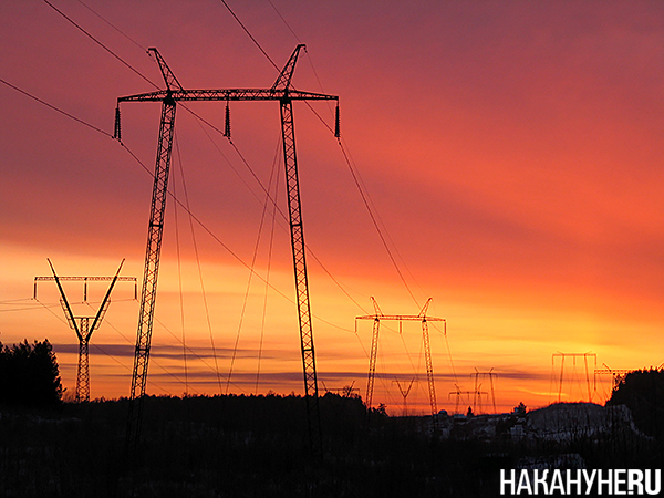 Фото: Накануне.RU