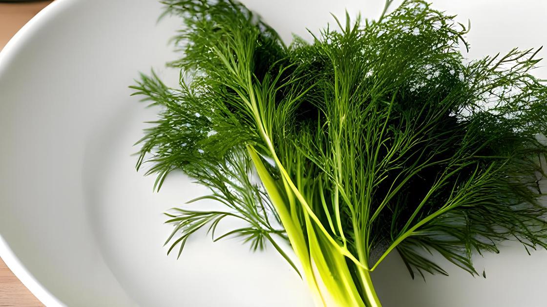 Зелень к мясу. Укропная трава. Укроп в народной медицине польза. Укроп в народной медицине польза. Фенхель и укроп.