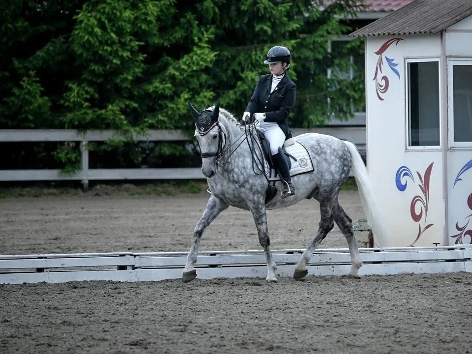 В Дмитровском округе прошли конные соревнования ко Дню молодежи