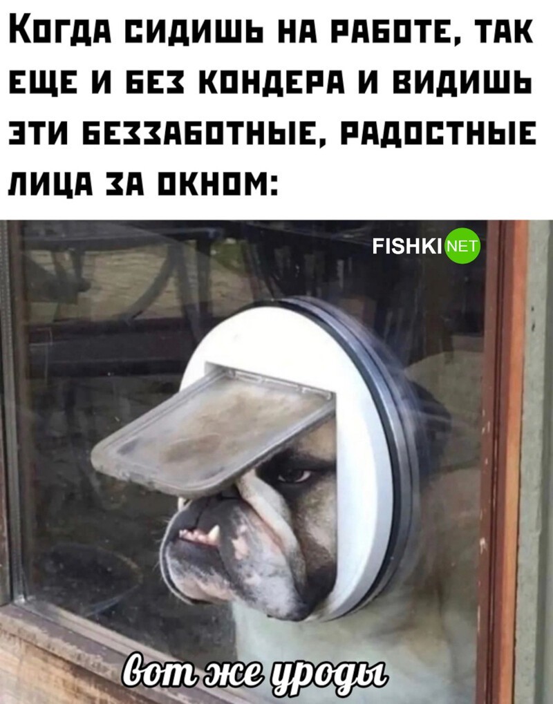 Новости в картинках с комментариями