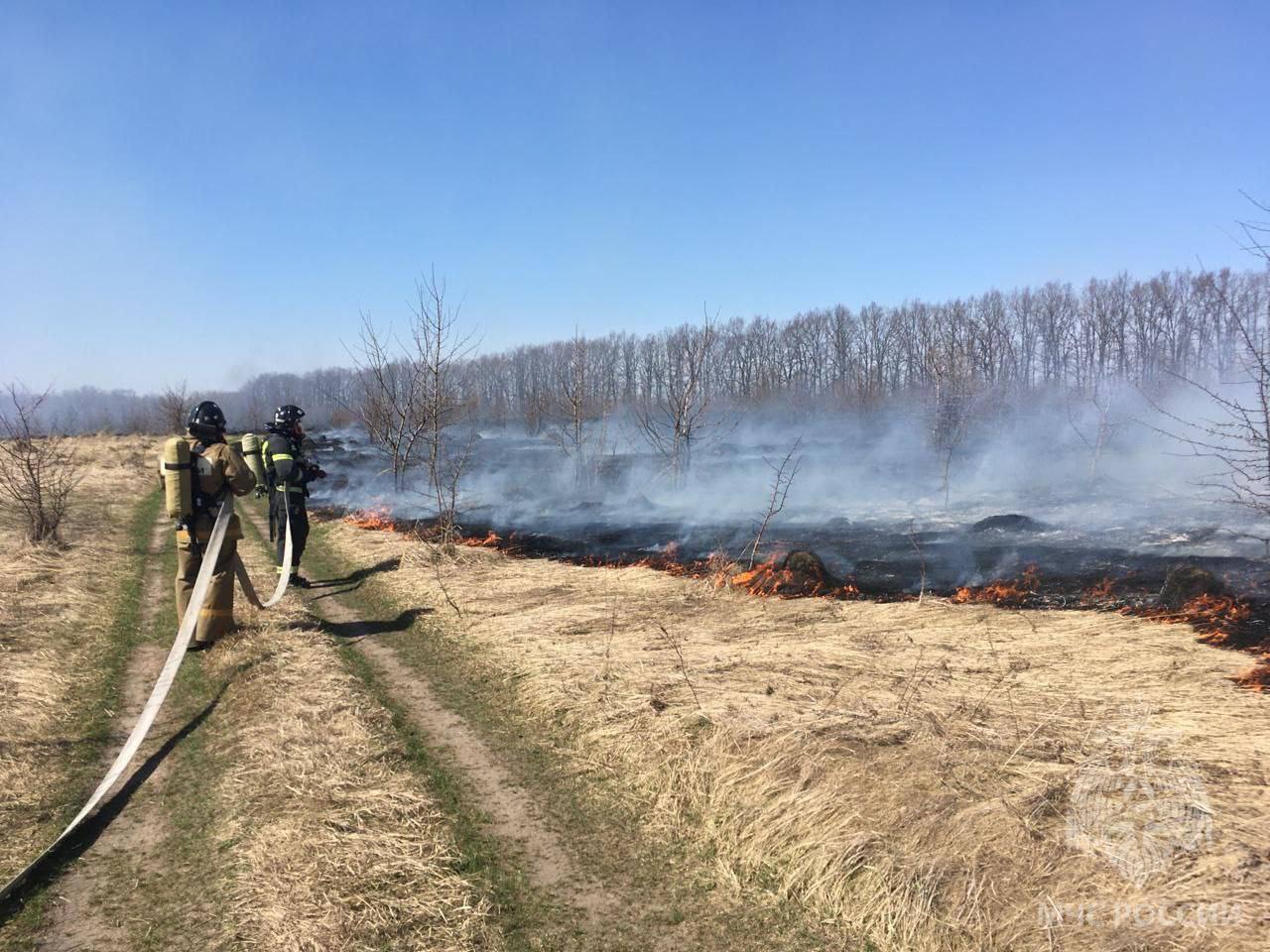 В Липецкой области в 52 пожарах сгорело 0,7 га травы и мусора за выходные