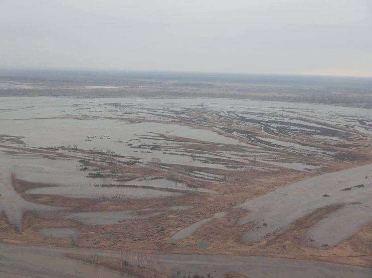 В Алтайском крае остаются подтопленными паводком 28 жилых домов