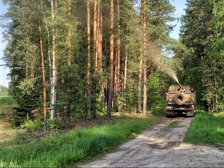 Осторожно: близ Бронниц началась обработка лесов от непарного шелкопряда