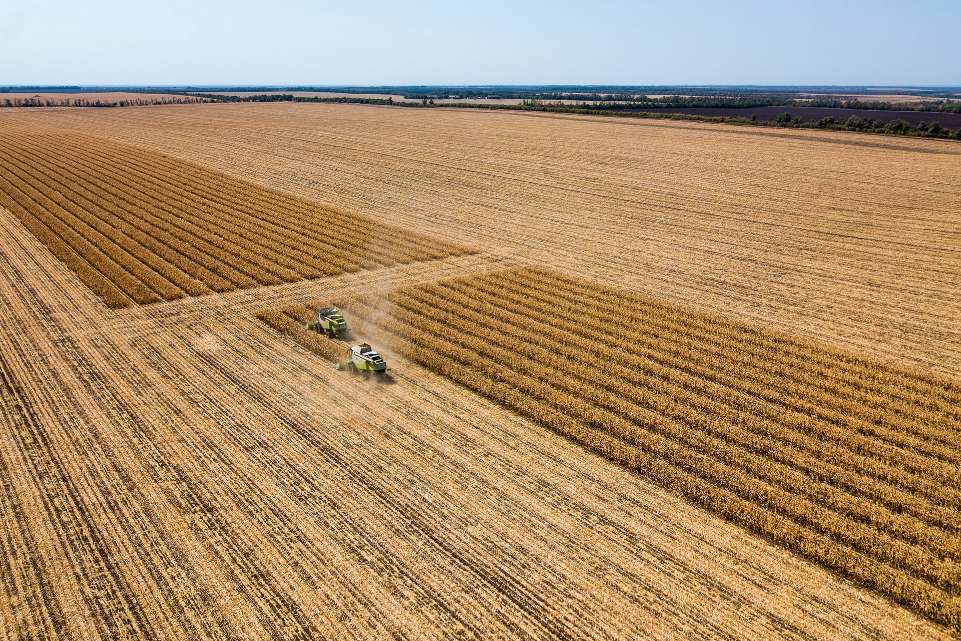 Russian agriculture