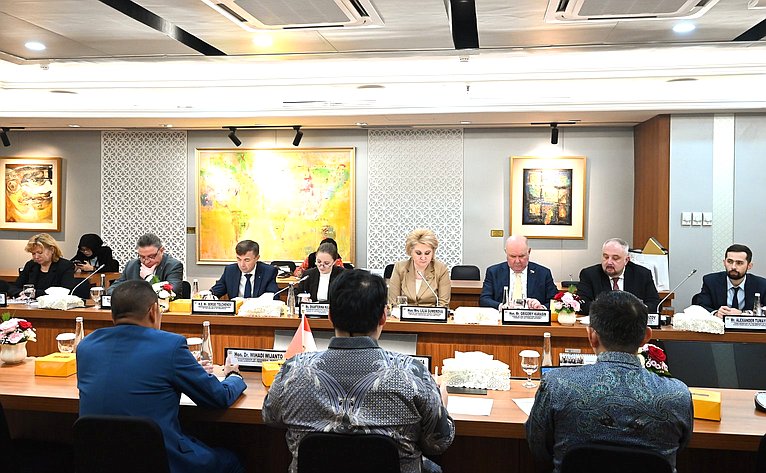 Сенаторы провели переговоры с Равиндрой Аирлангой и председателем Группы дружбы Совета народных представителей Индонезии с нижней палатой российского парламента Вихади Виджаянто