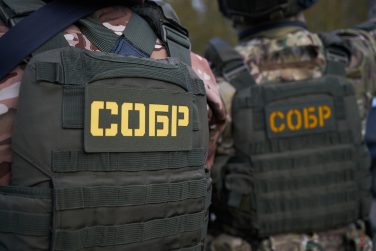 При содействии СОБР «Викинг» Росгвардии задержан подозреваемый в разбойном нападении на склад (видео)