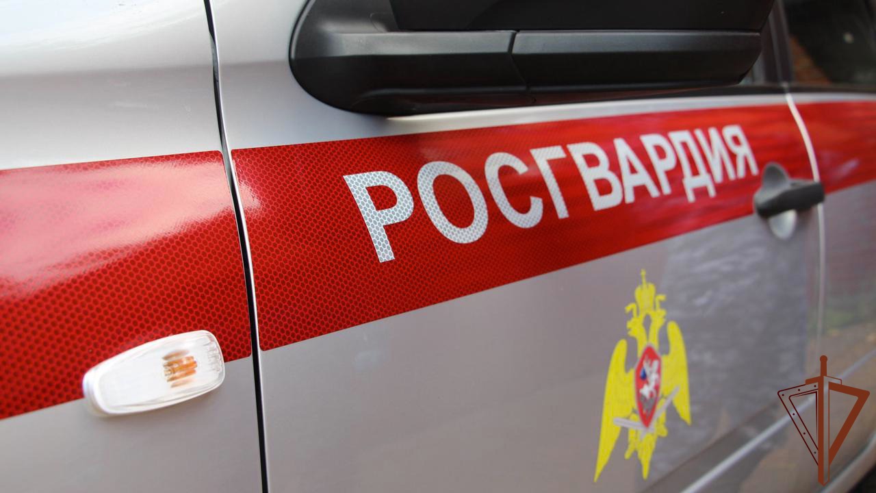 В Подмосковье прошли испытания росгвардейцев на право ношения крапового берета