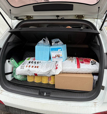 В Иванове девочка отказалась от подарков на день рождения и помогла приюту